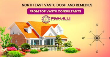 Vastu Dosh and Remedies from Top Vastu Consultants | Dr. Piyhalli