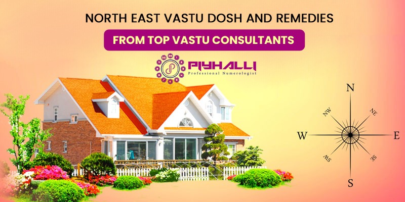 Vastu Dosh and Remedies from Top Vastu Consultants | Dr. Piyhalli